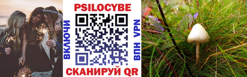 Псилоцибиновые грибы прущие грибы  где купить наркоту  Ядрин 